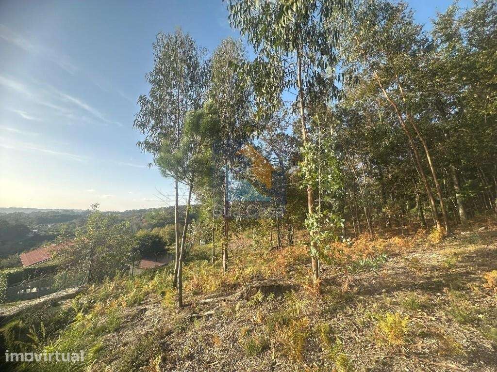 Terreno com viabilidade de construção - Grande imagem: 2/12