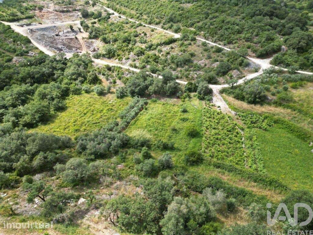 Terreno em Alqueidão da Serra - Grande imagem: 2/6