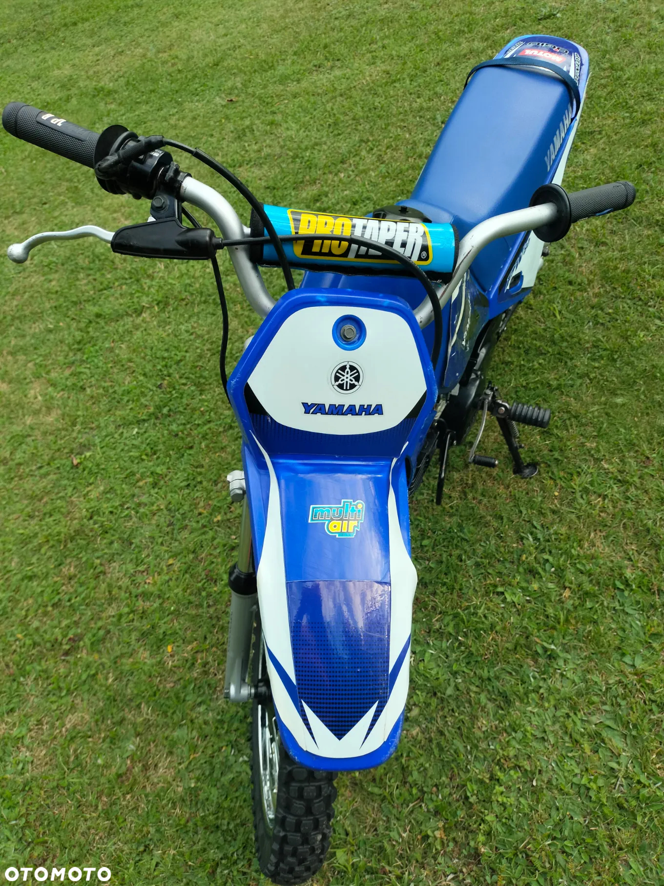Yamaha PW