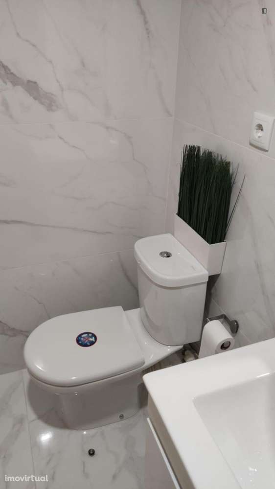 Estúdio - localizado em Sé de Braga e São Lázaro Braga - Grande imagem: 5/11