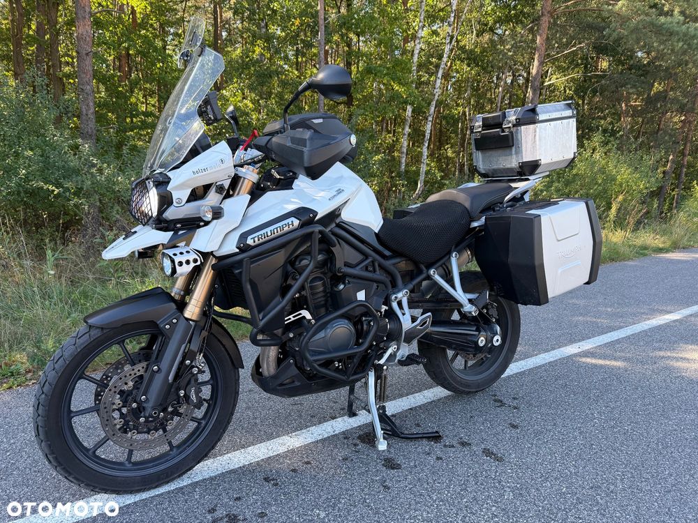 Triumph Tiger - 1