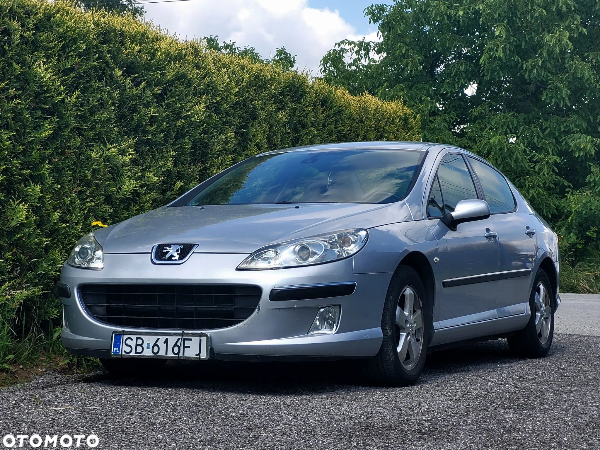 Peugeot 407 1.6 HDI Premium - 1