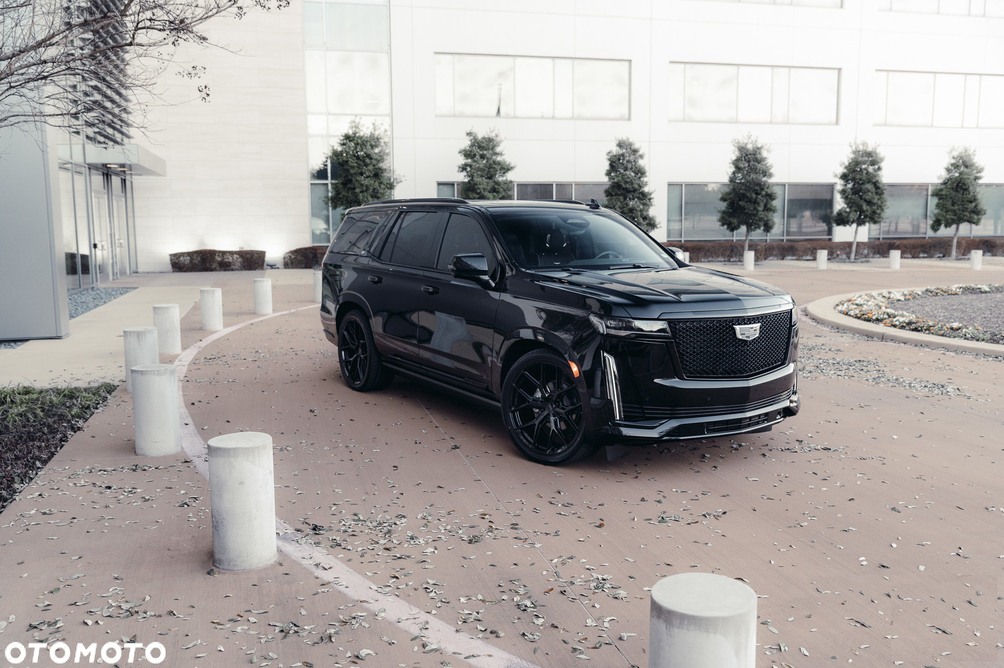 Cadillac Escalade - 13