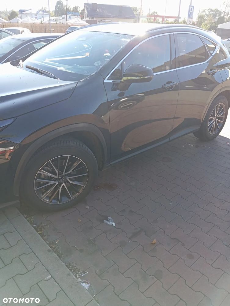 Lexus NX 350h Prestige AWD - 5