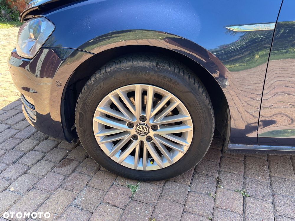 Volkswagen Golf 1.4 TSI BlueMotion Technology DSG Cup - 15