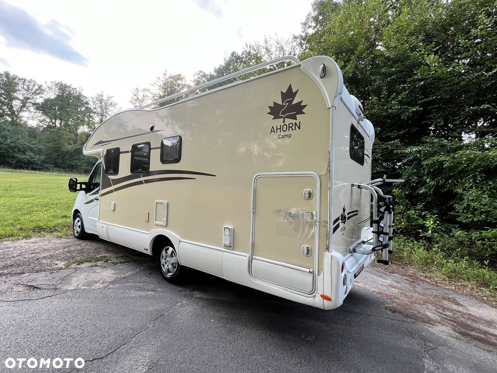 Renault Ahorn Alaska TD Plus 2018r - 29