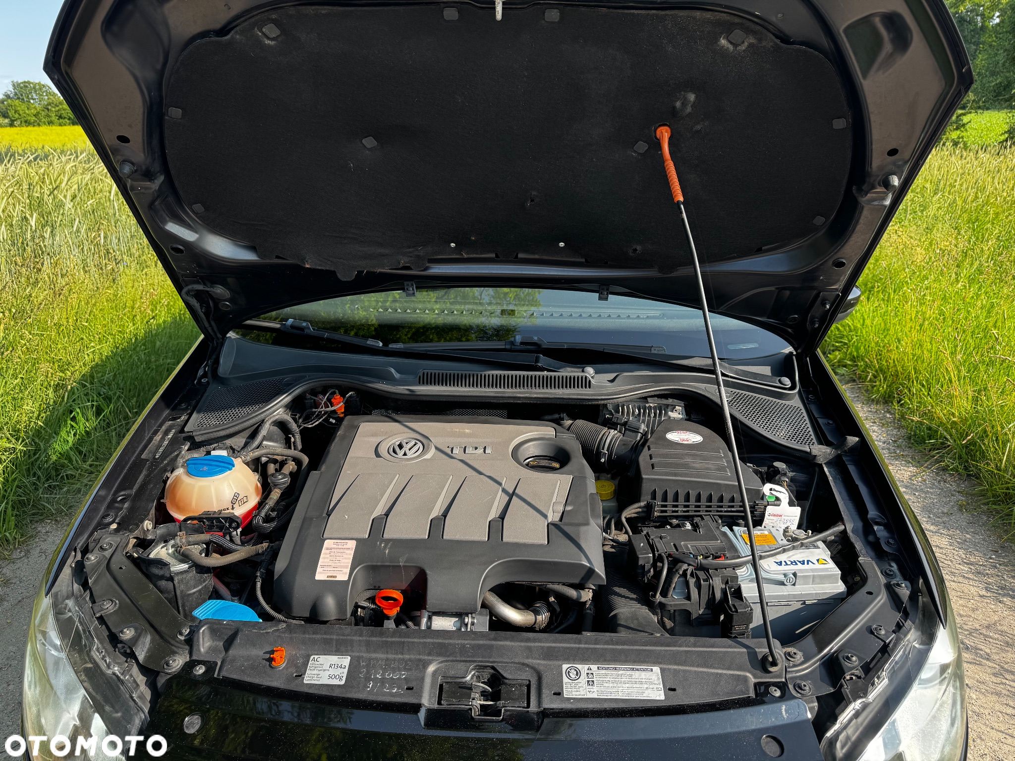 Volkswagen Polo - 15