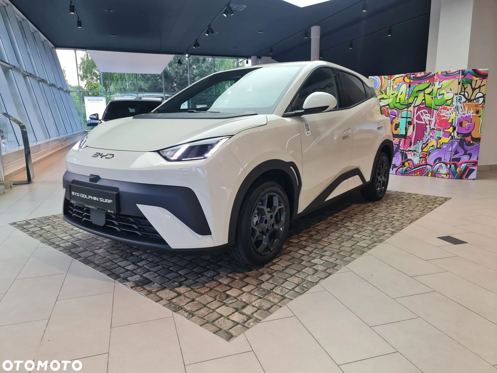 BYD Dolphin Surf - 1