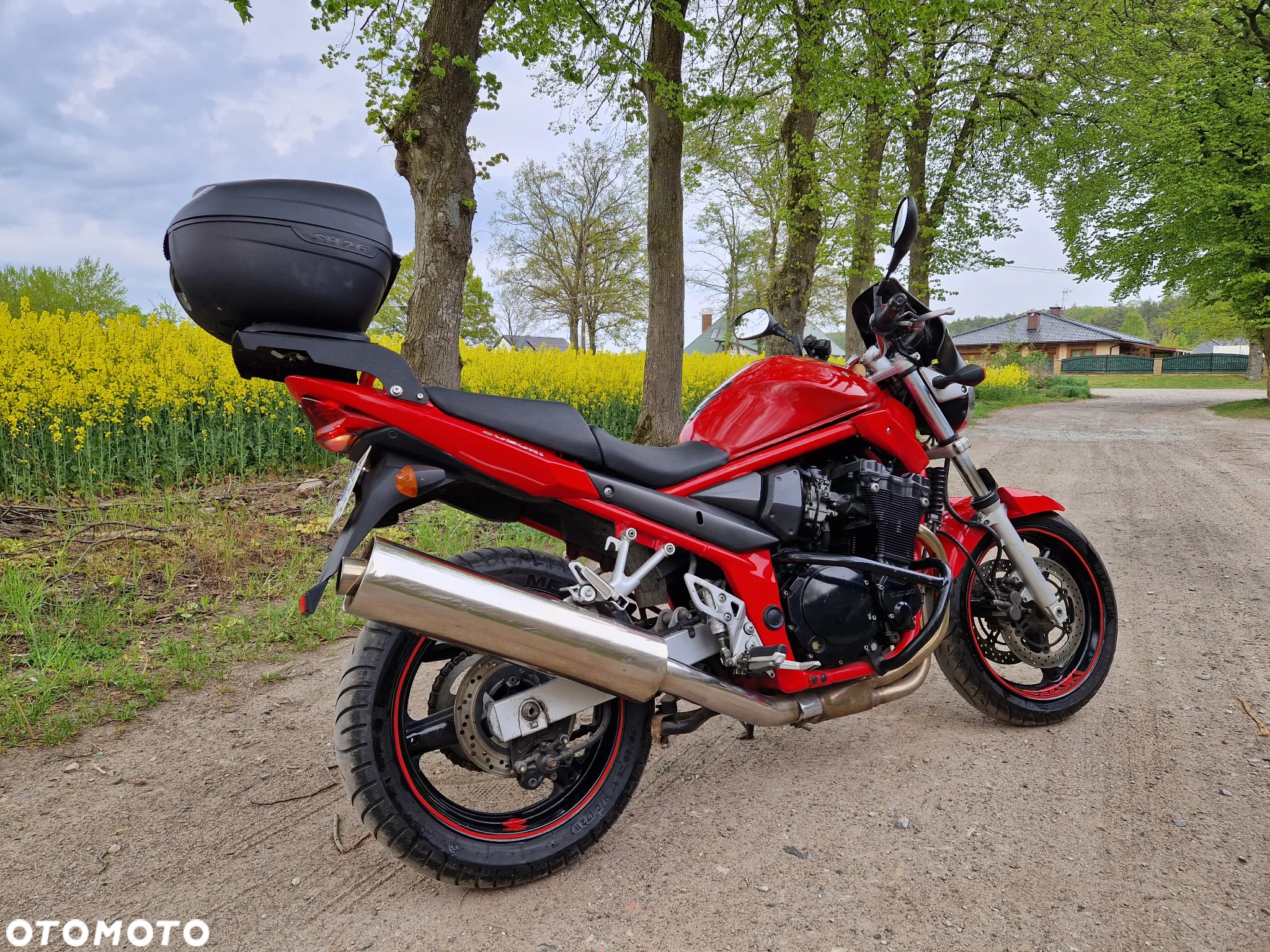 Suzuki Bandit - 5