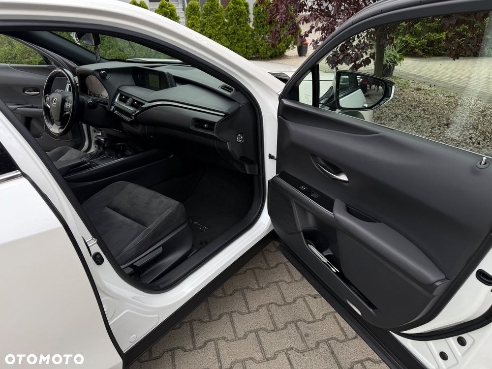 Lexus UX 250h F Sport 2WD - 17