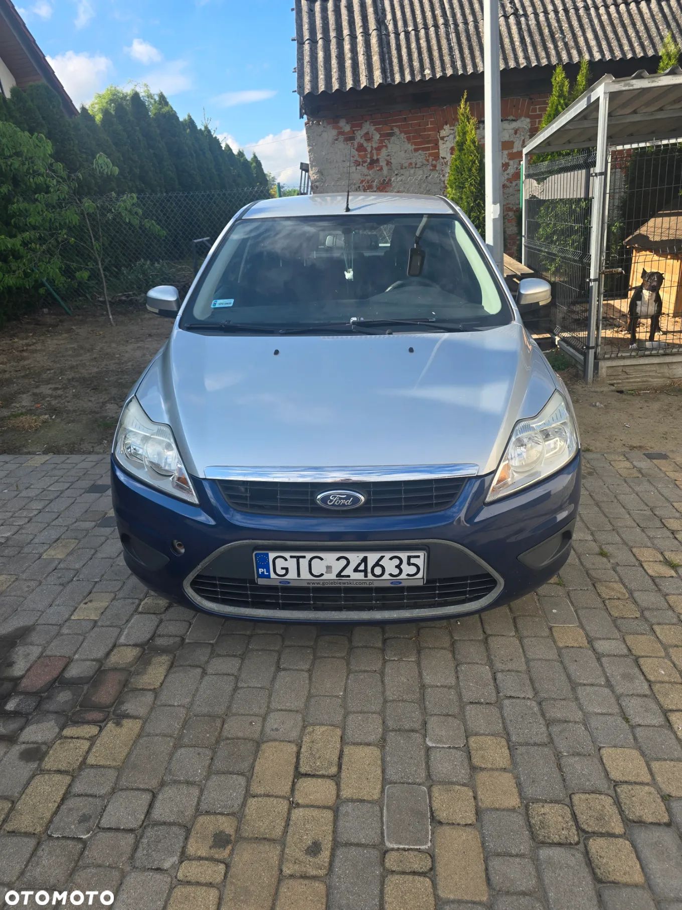 Ford Focus - 1