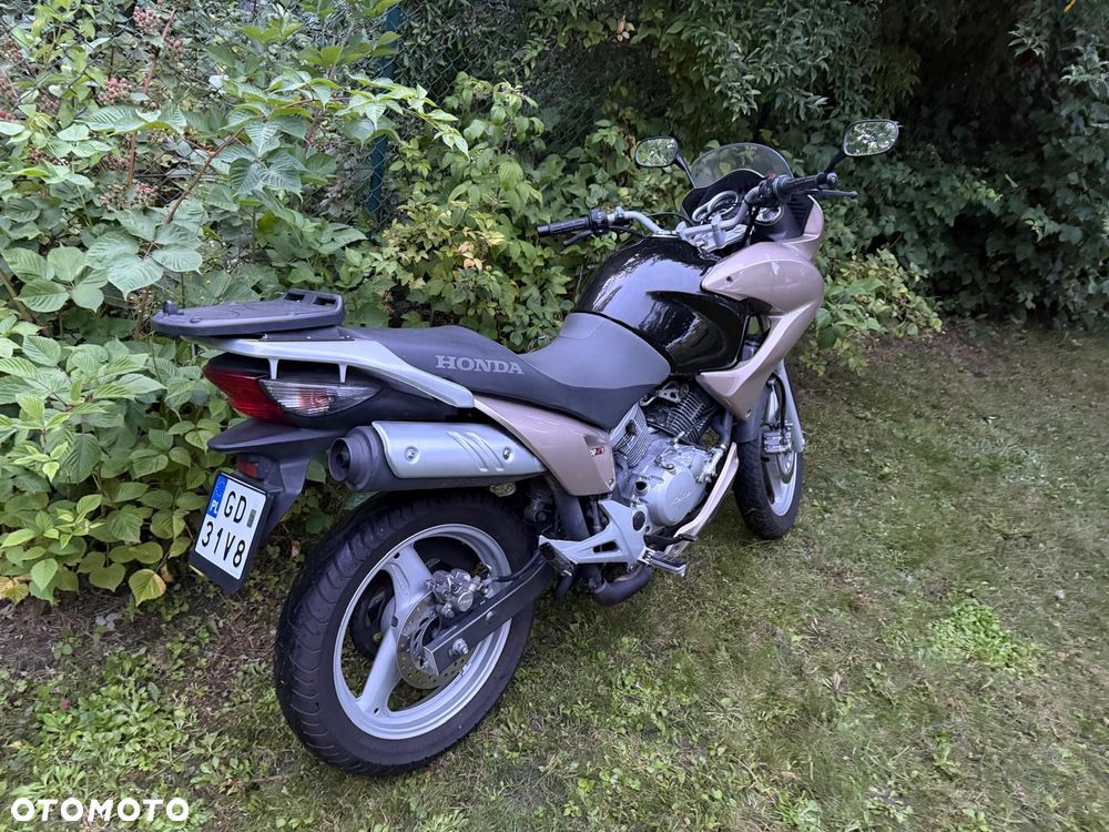 Honda Varadero - 5