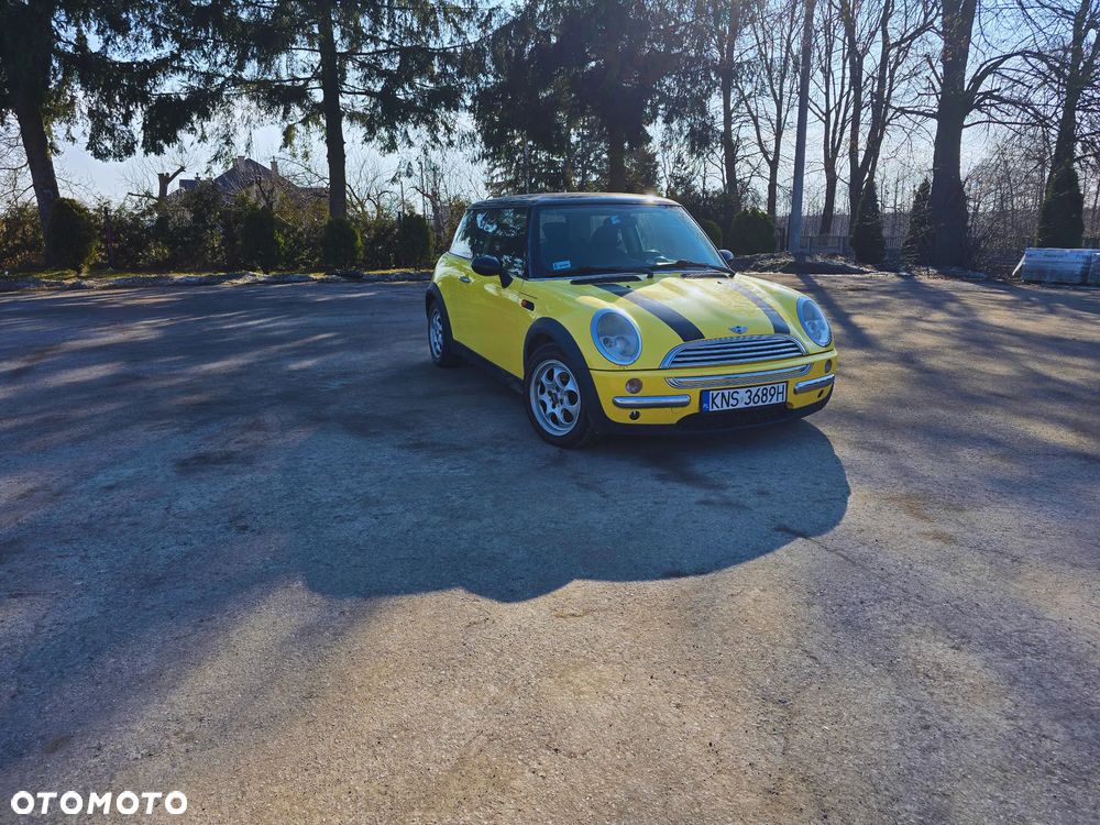 MINI Cooper chili - 1