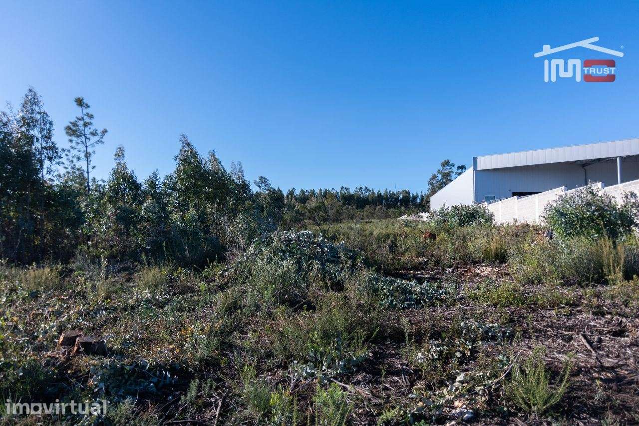 TERRENO COM AREA DE 6268 M2 ZONA INDUSTRIAL DE BOLEIROS/MAXIEIRA JU... - Grande imagem: 2/9