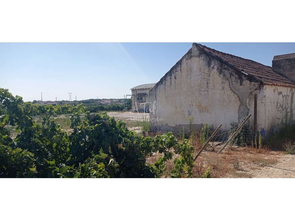 Terreno com Armazém e moradia - POCEIRÃO - Grande imagem: 4/6