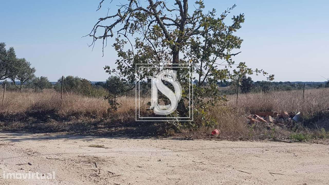 Terreno UDF de Arez e Amieira do Tejo - Grande imagem: 5/9