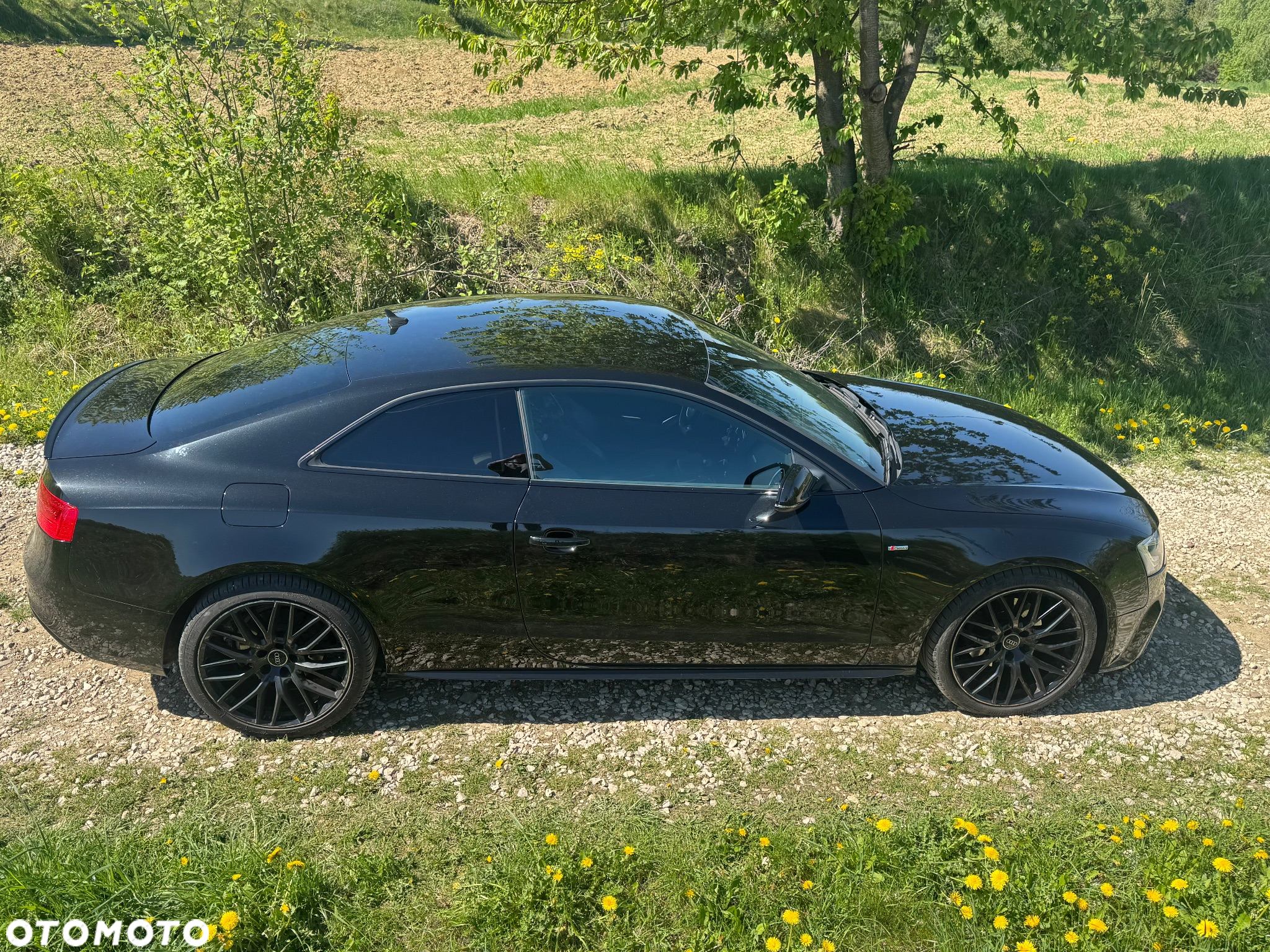 Audi A5 Coupe 2.0 TDI clean diesel Quattro S tronic - 19