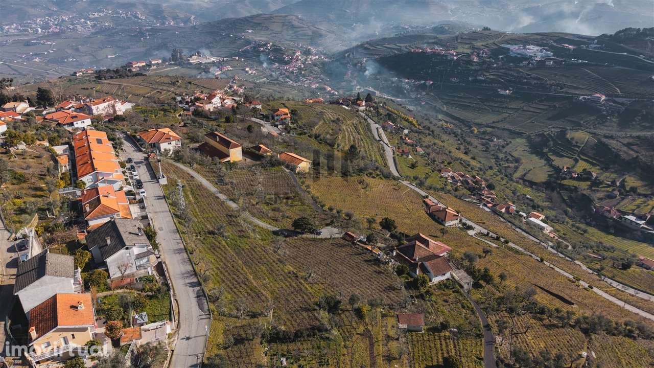 Oportunidade no Douro | Quinta com História | Lamego - Grande imagem: 4/16