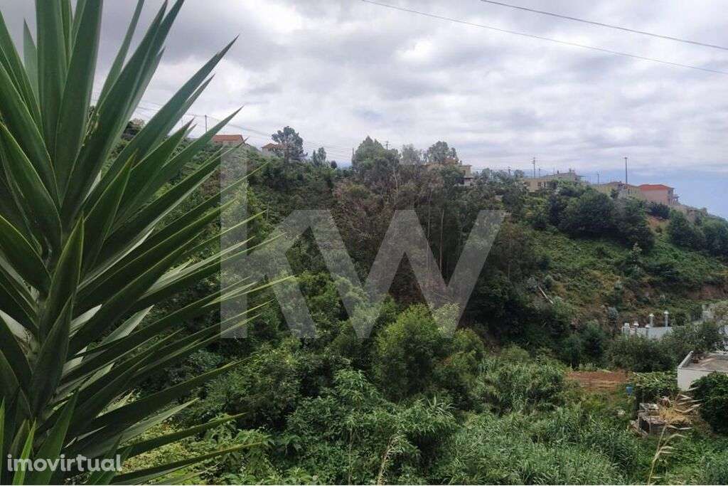 Terreno com 949m2 para construção, localizado no Campanário, cum uma r - Grande imagem: 3/18