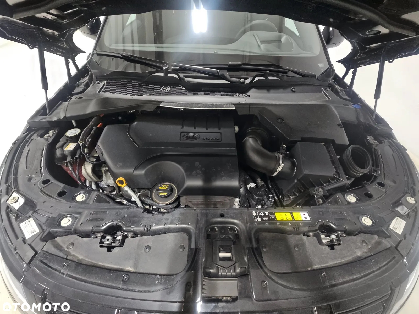 Land Rover Range Rover Evoque P250 Dynamic SE - 13