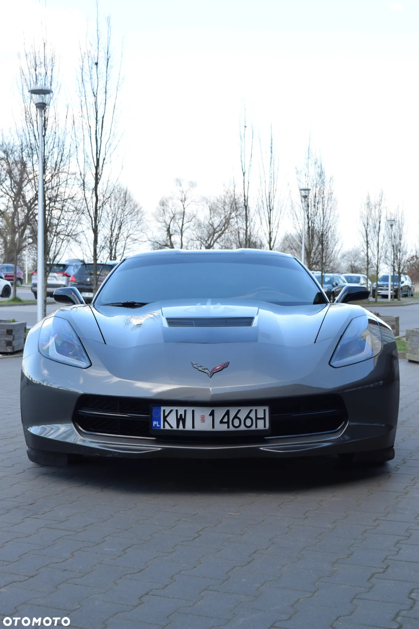 Chevrolet Corvette Stingray 3LT 6.2 V8 Automatik - 12