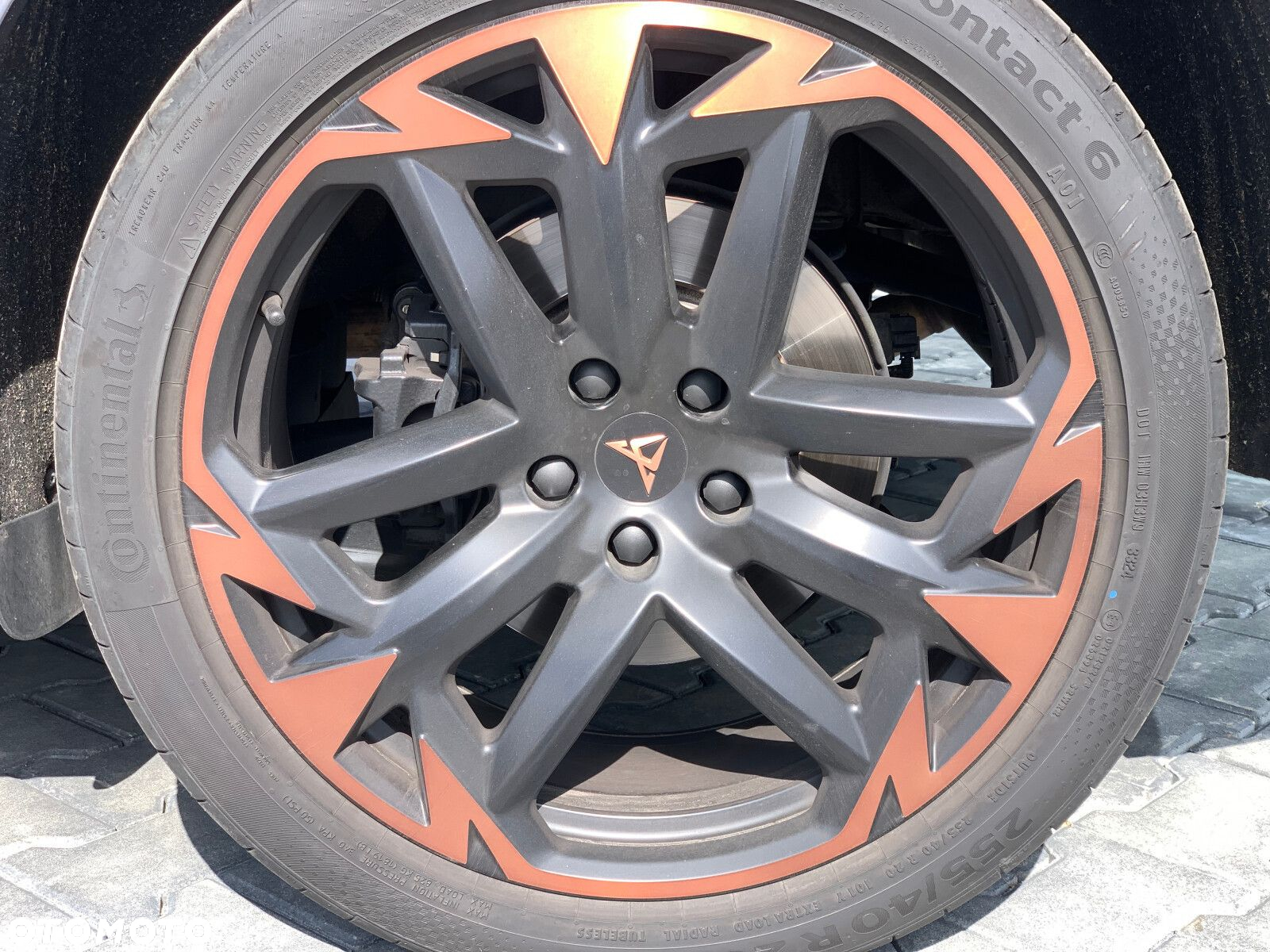 Cupra Terramar - 8