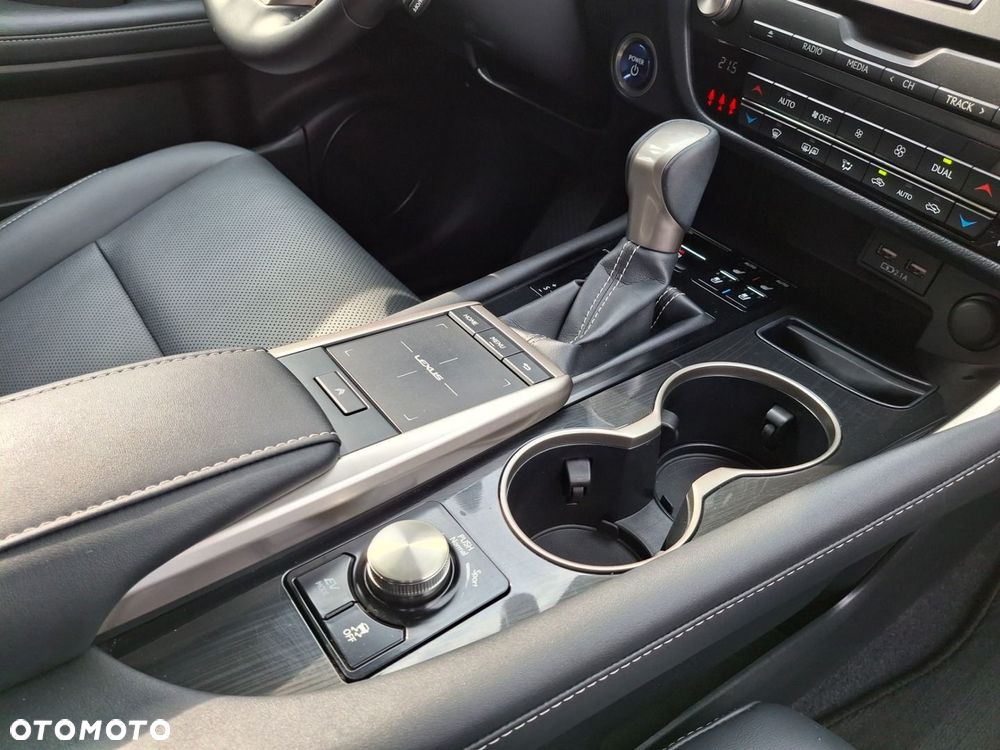 Lexus RX - 18