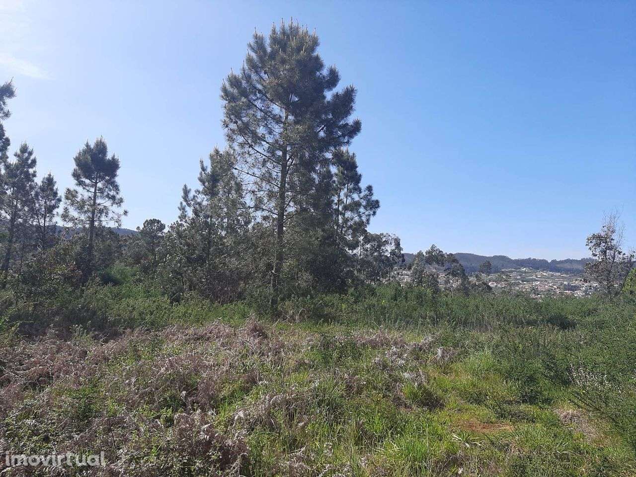 Arrenda Terreno Apróx. 3.500m2 Termas São Vicente Penafiel - Grande imagem: 3/7