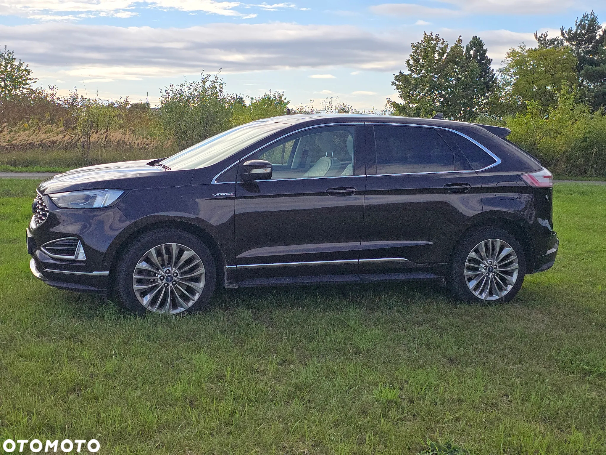 Ford Edge 2.0 EcoBlue Twin-Turbo 4WD Vignale - 5