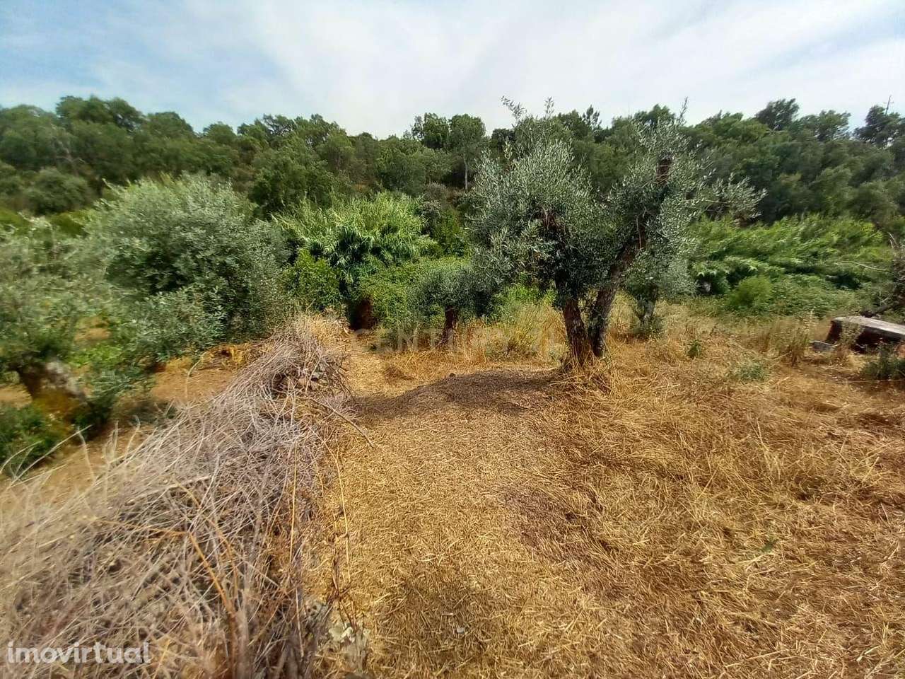Terreno Rustico 480m2 Palvarinho - Grande imagem: 3/10