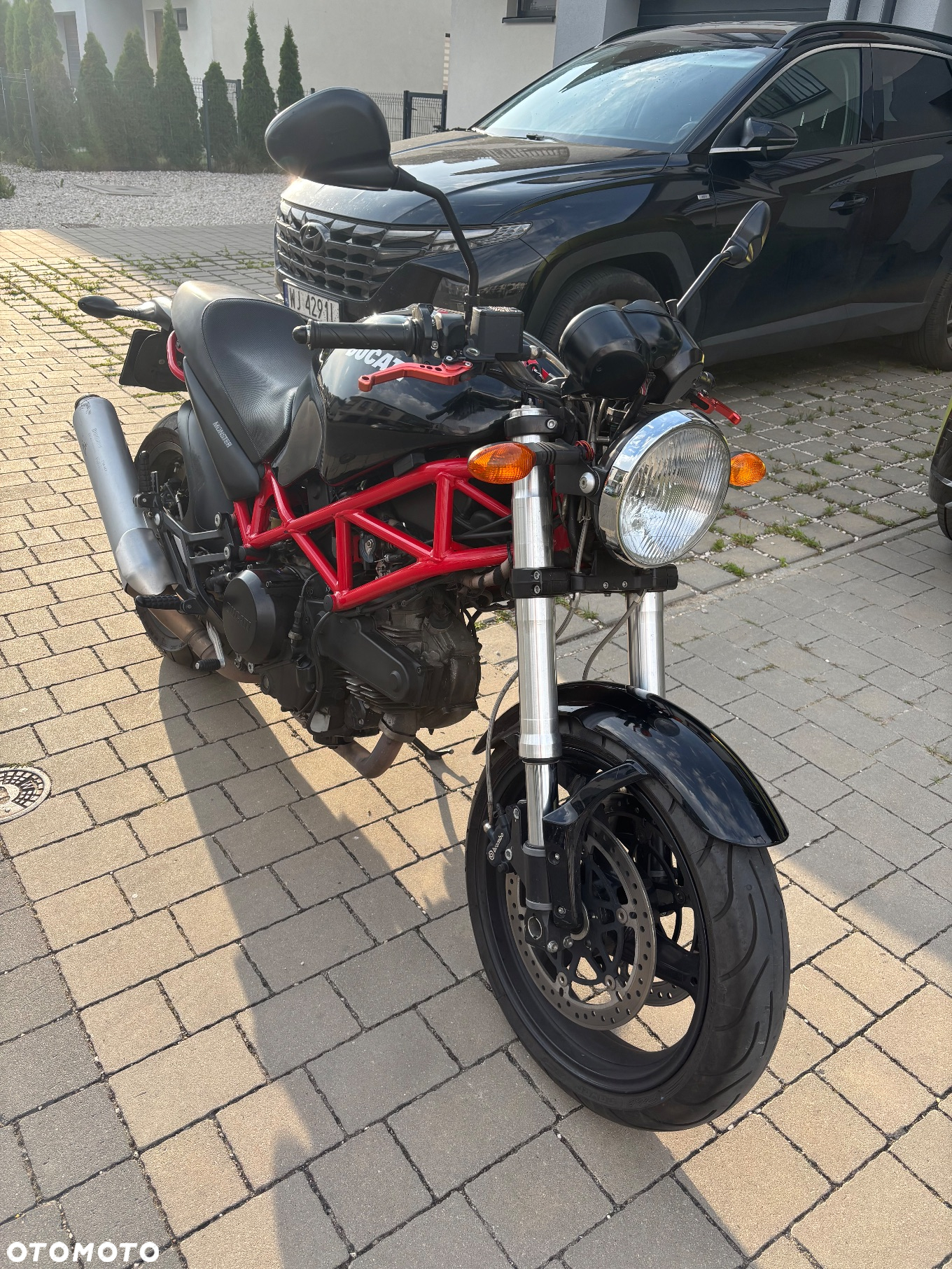 Ducati Monster - 3
