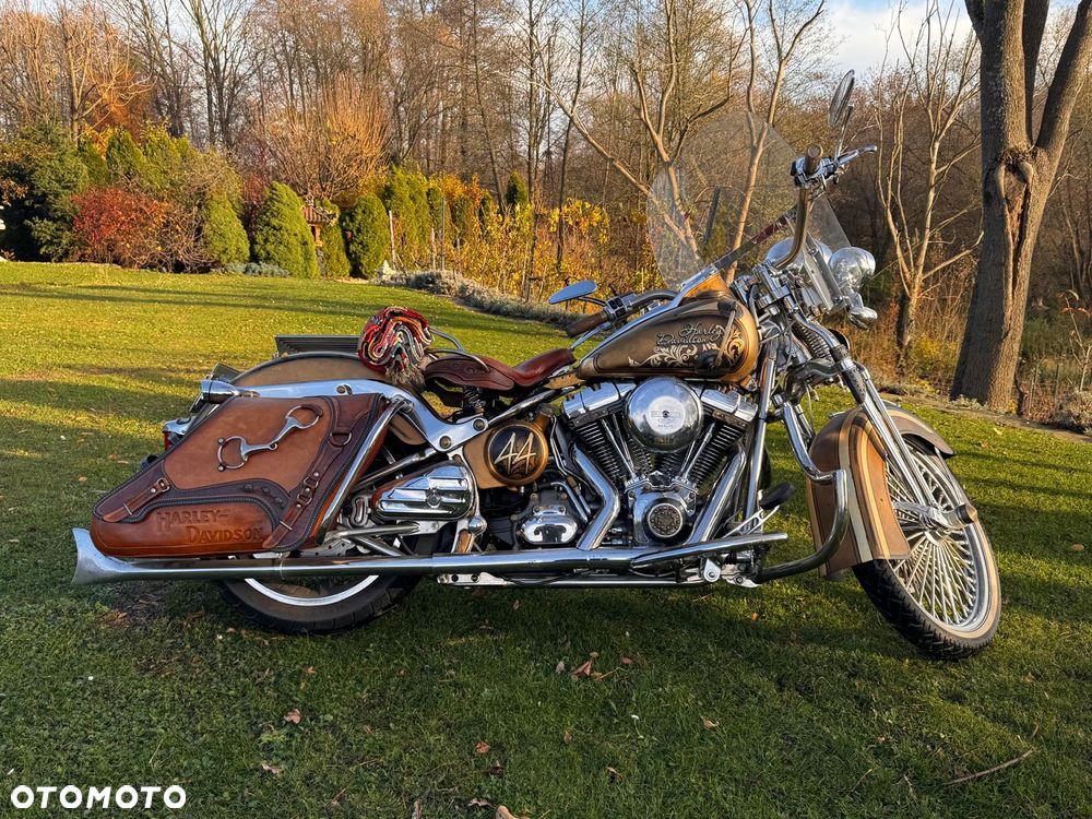 Harley-Davidson Softail Heritage Classic - 15