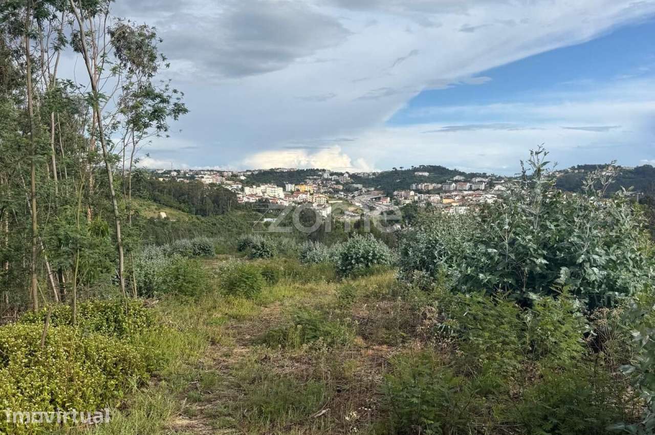 Terreno com 3.358 m² em São Martinho do Bispo - Grande imagem: 5/15