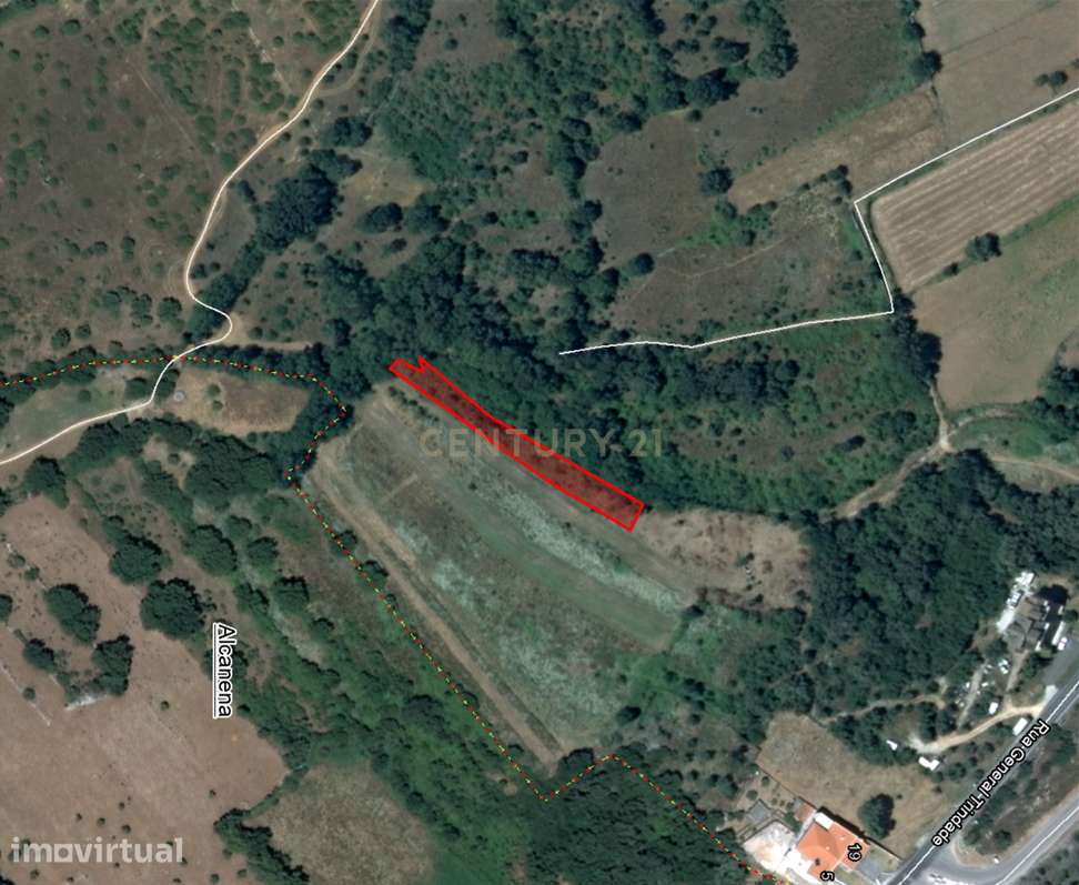 Terreno Rústico para Cultivo – 800 m² | Mira de Aire - Grande imagem: 2/3