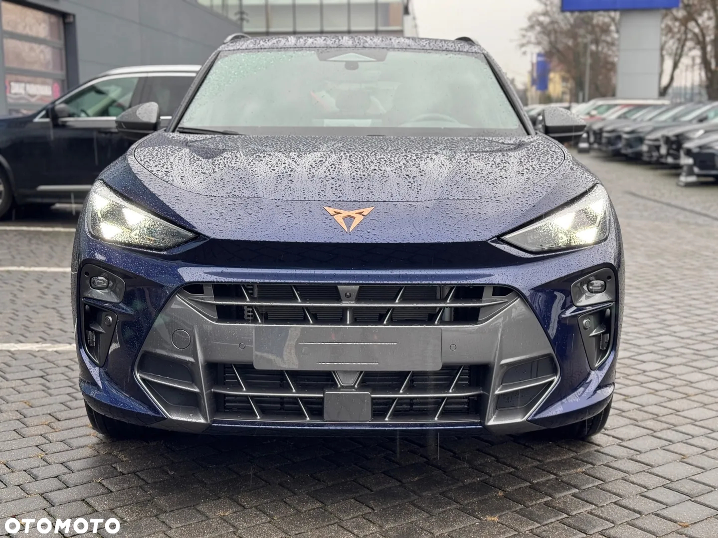 Cupra Terramar 2.0 TSI 4Drive DSG - 11