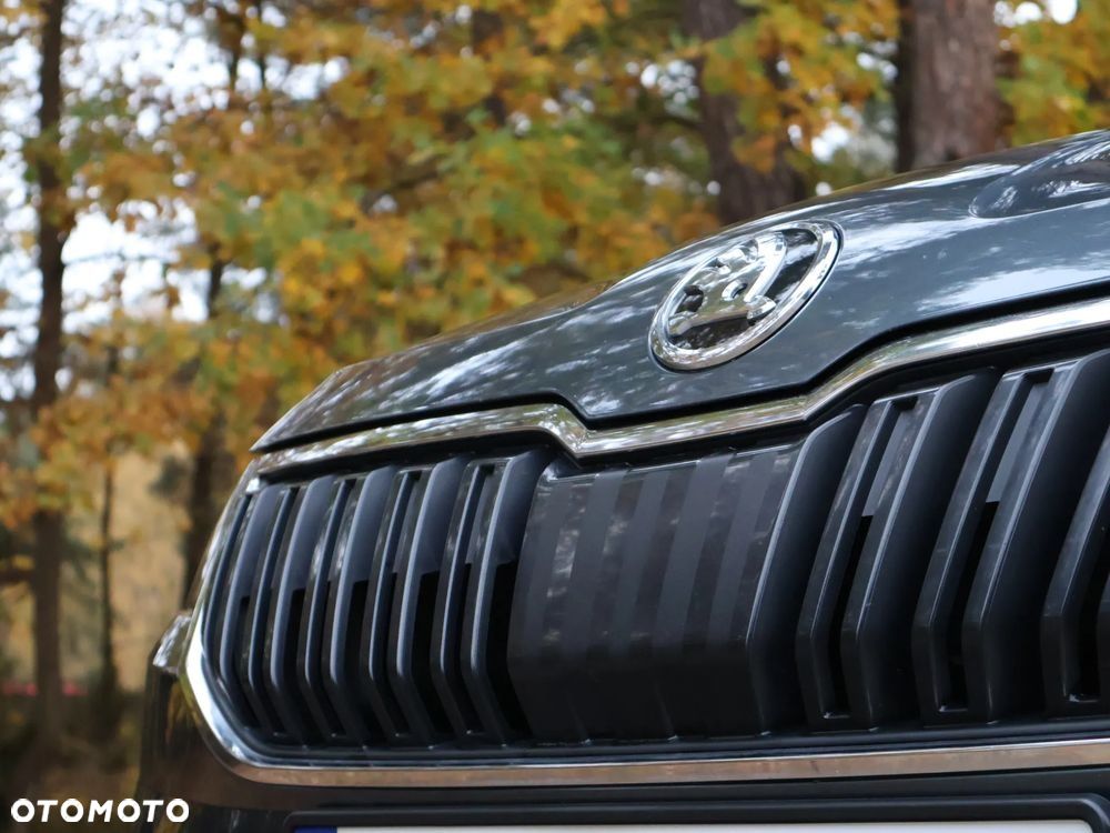 Skoda Karoq - 20