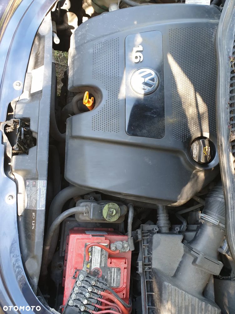 Volkswagen New Beetle - 24