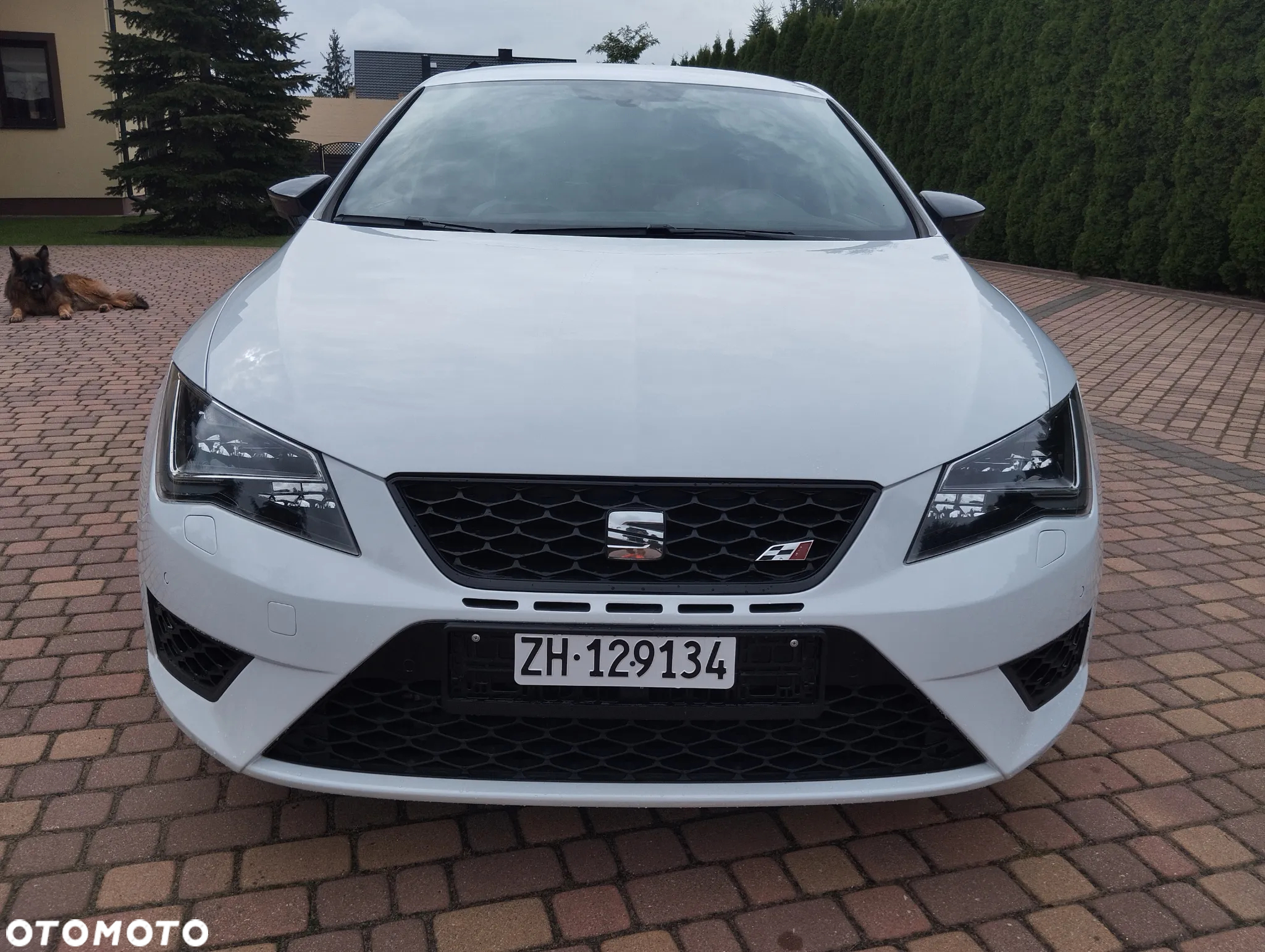 Seat Leon 2.0 TSI Cupra 280 S&S DSG - 10