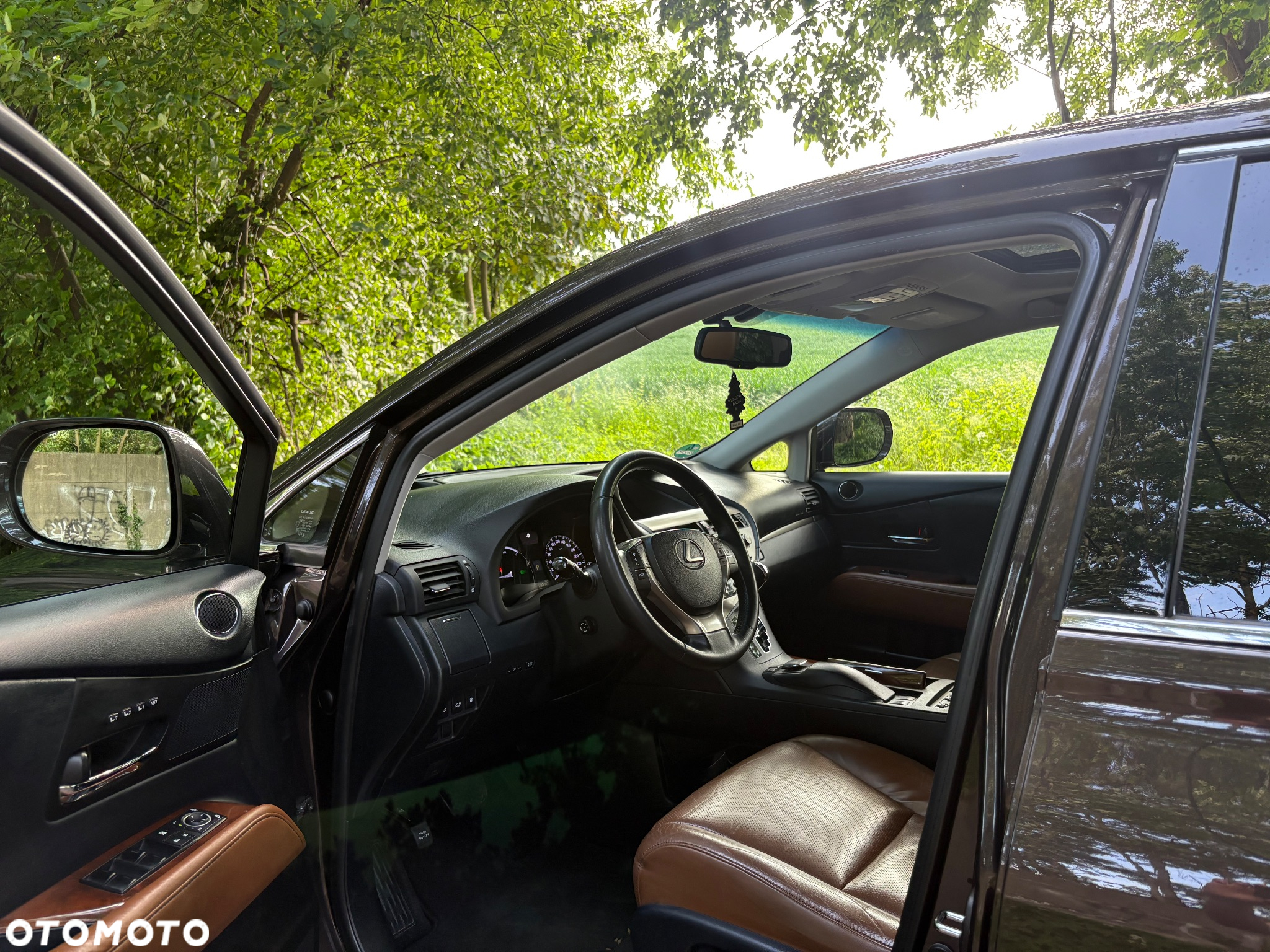 Lexus RX - 15