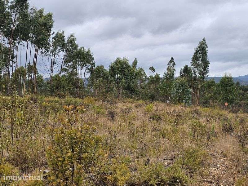 Terreno  Rural 10.200 M  junto a estrada 244 - Grande imagem: 5/12