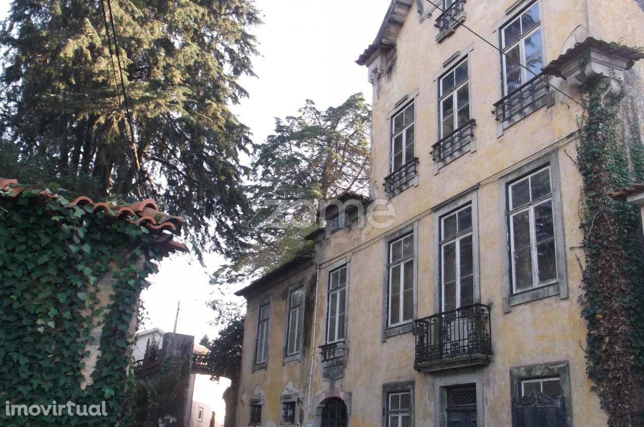 Quinta com edifício em ruinas e terreno com 14666 m2 - Grande imagem: 3/53