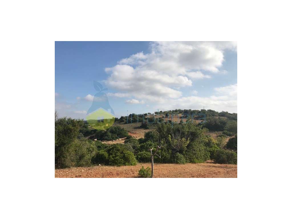 TERRENO RÚSTICO COM EXCELENTE LOCALIZAÇÃO-CANAIS-ALBUFEIRA - Grande imagem: 3/25