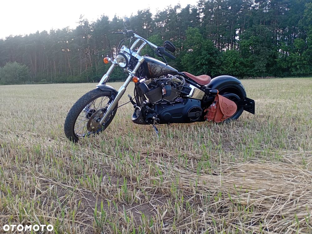 Harley-Davidson Softail - 4