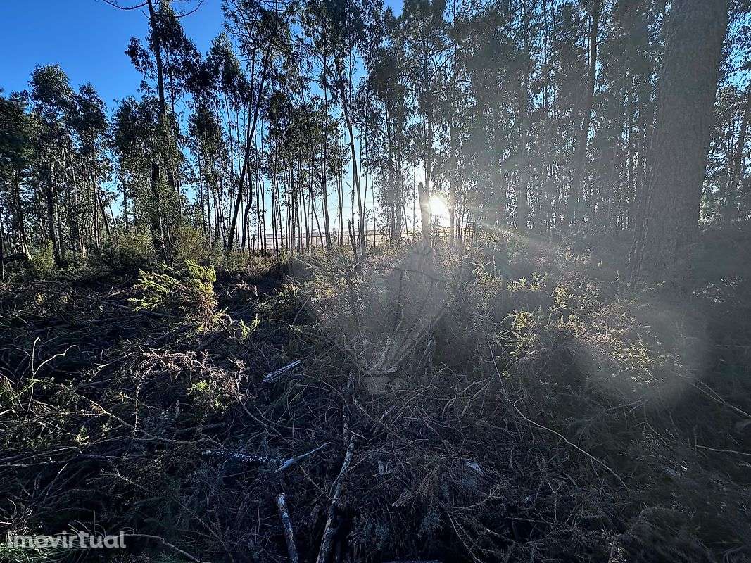 Terreno  para venda - Grande imagem: 2/19