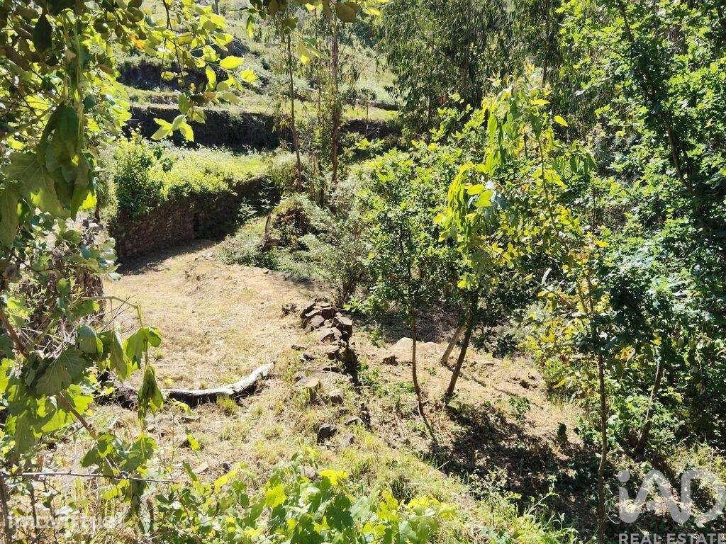 Casa de Campo em Pedrógão Pequeno de 192 m2 - Grande imagem: 3/29