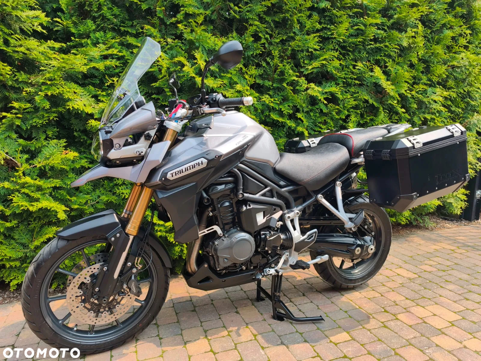 Triumph Tiger - 21