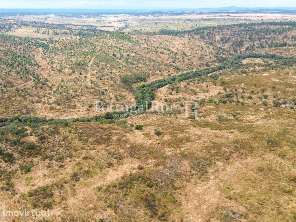 Propriedade agroflorestal 19,95 hectares em Idanha-a-Nova - Grande imagem: 3/31