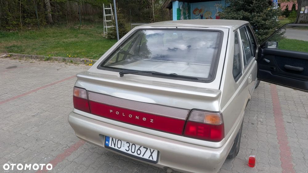 Polonez Caro - 6