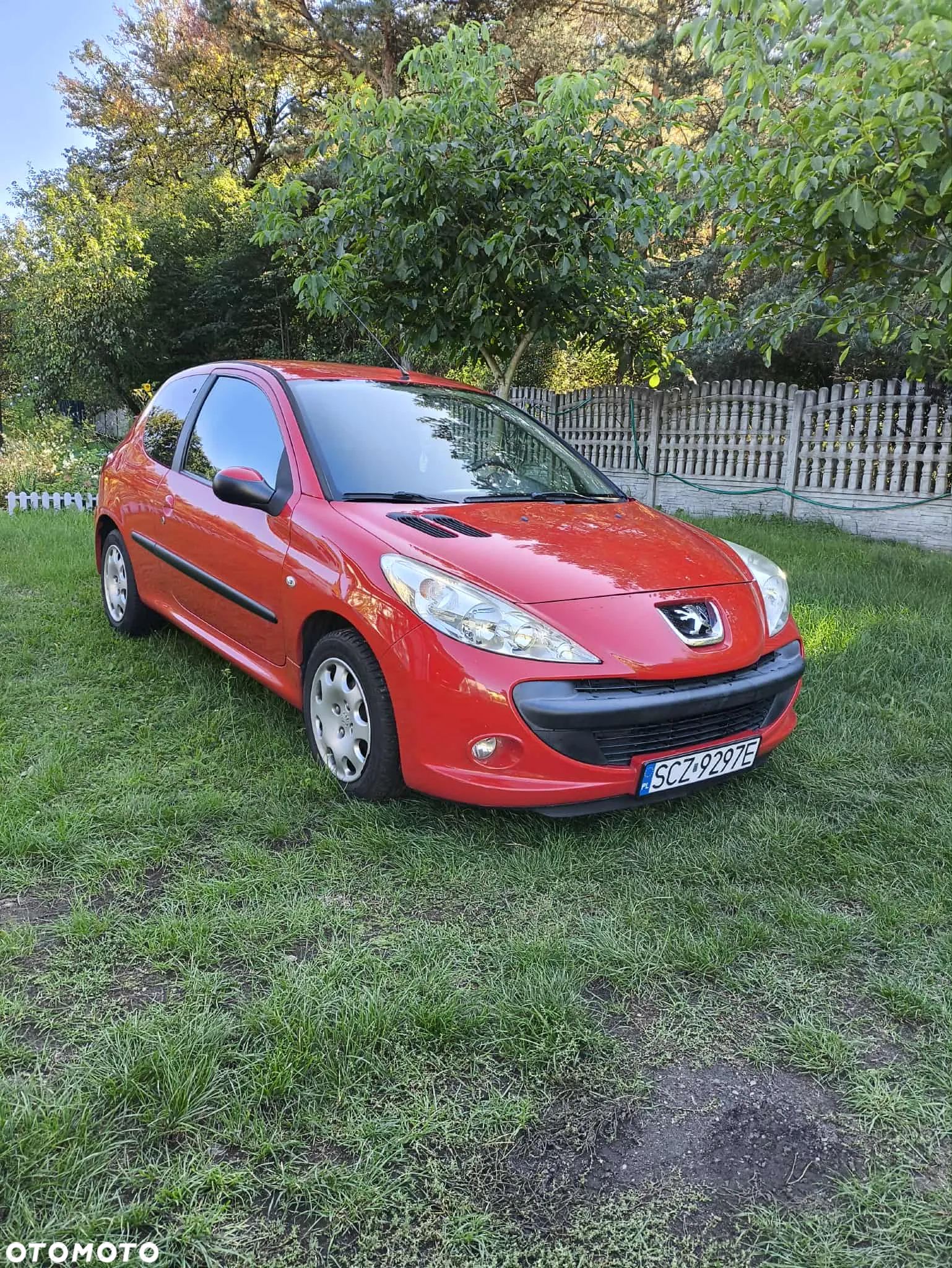 Peugeot 206 plus - 12