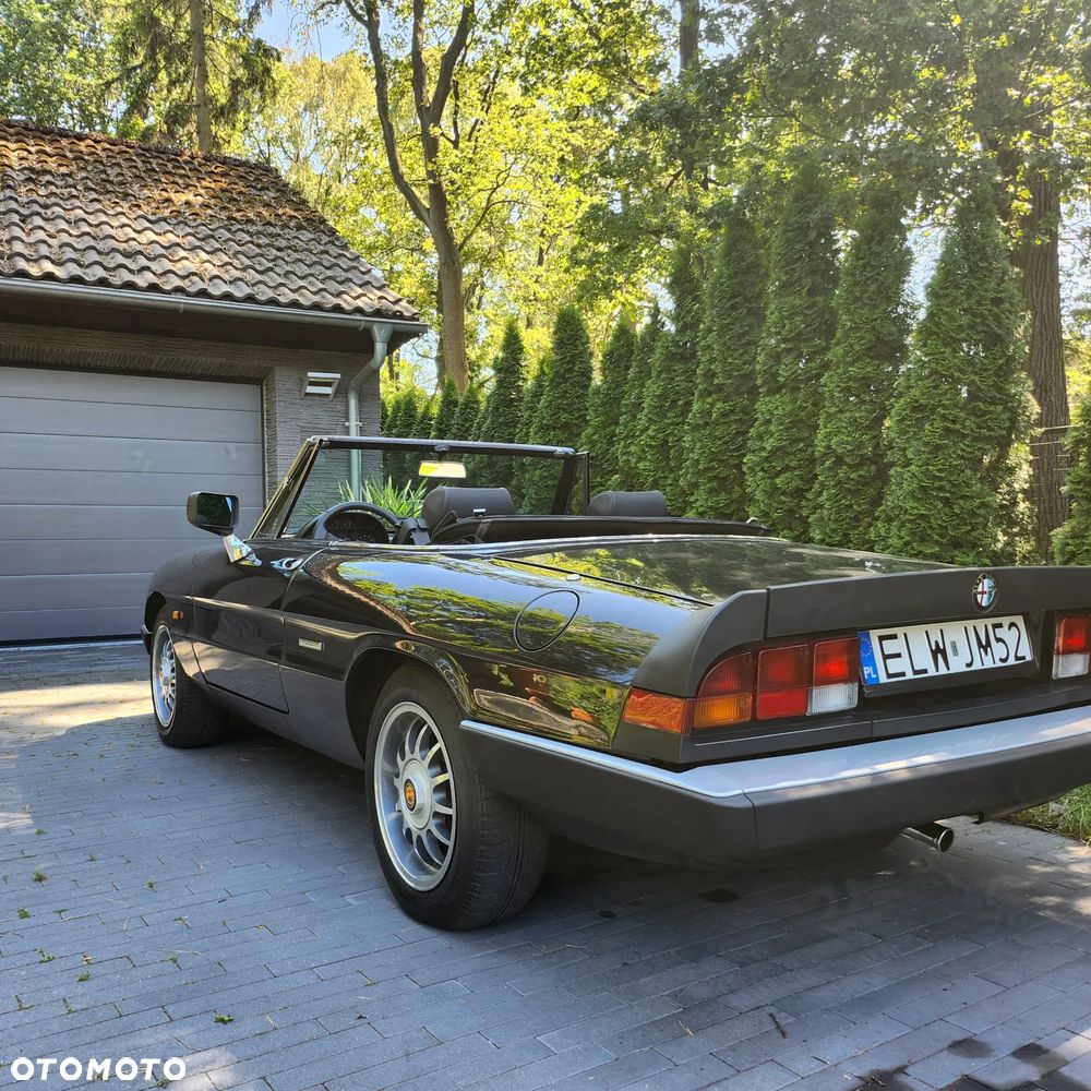 Alfa Romeo Spider - 4